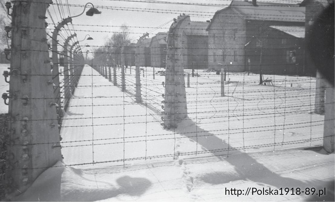  KL Auschwitz-Birkenau po wyzwoleniu zimą 1945 roku