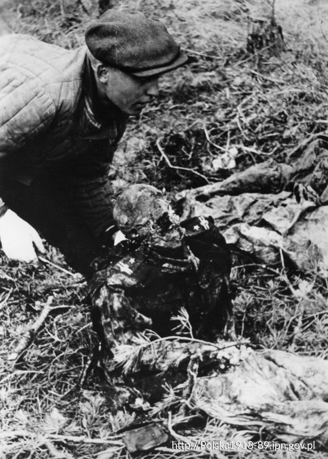 Pierwsza ekshumacja zamordowanych przez NKWD oficerów Wojska Polskiego w Katyniu zlecona przez Niemców wiosną 1943 r. GK-15-2-2-34 