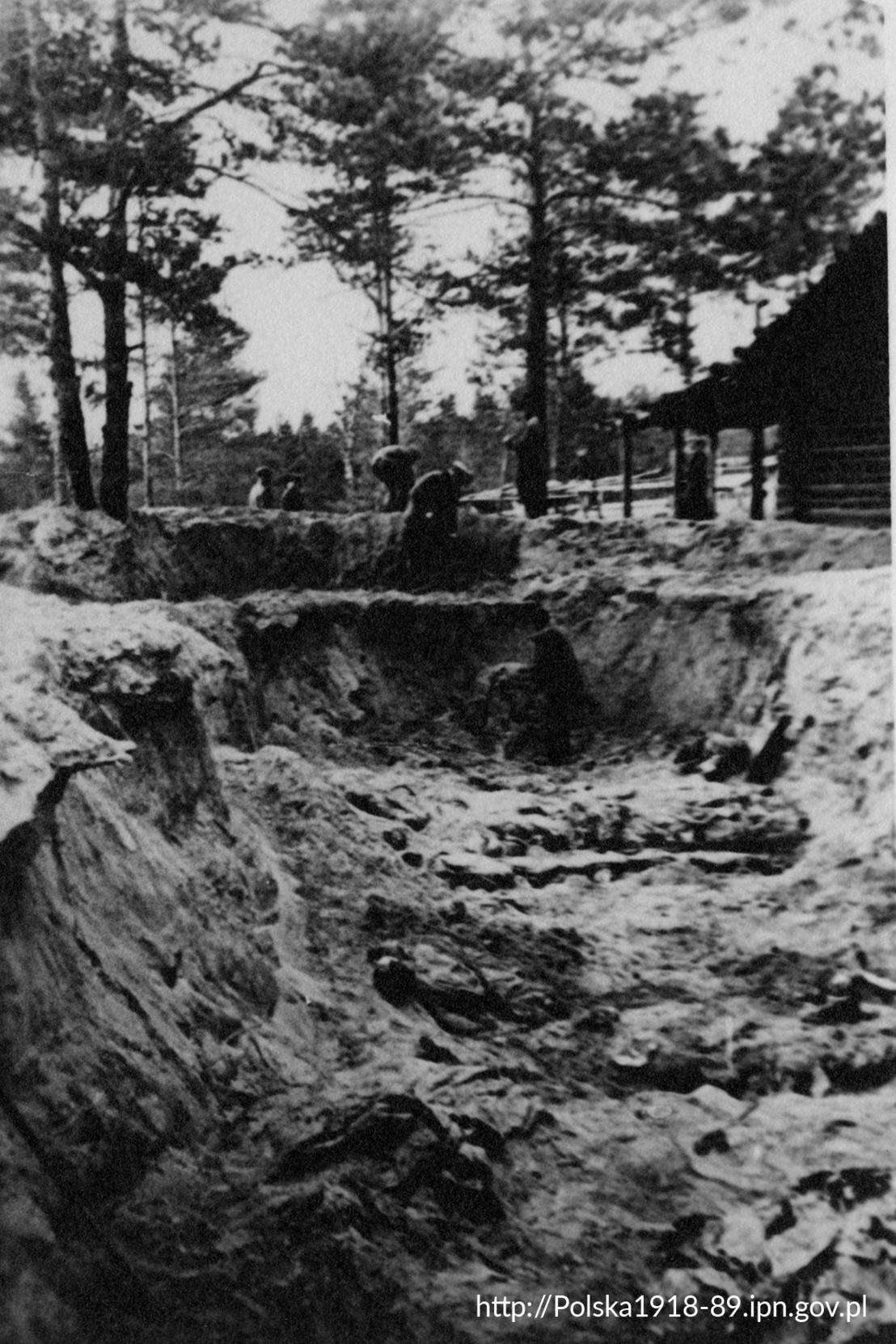 Prace ekshumacyjne w Katyniu.