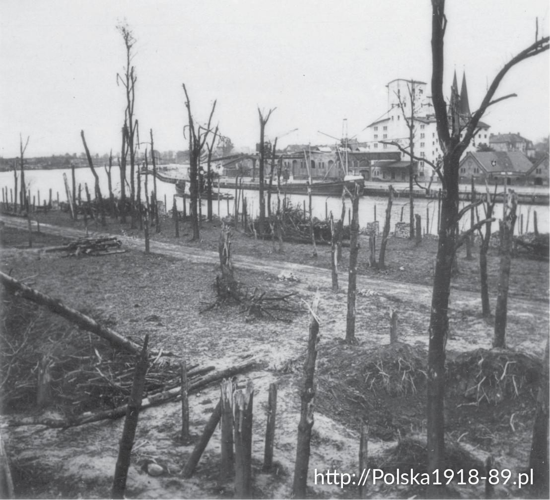 Teren Wojskowej Składnicy Tranzytowej na Westerplatte po ustaniu walk